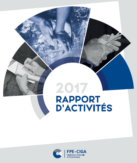 Rapport d'activités 2017