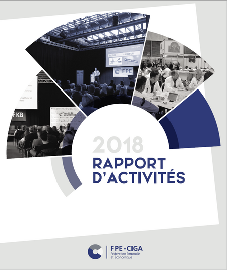 Rapport d'activités 2018