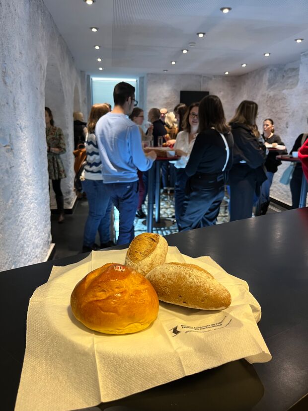 Nouvelles jurisprudences en droit du travail et des assurances sociales